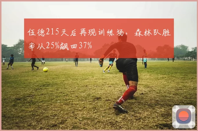 伍德215天后再现训练场，森林队胜率从25%飙回37%