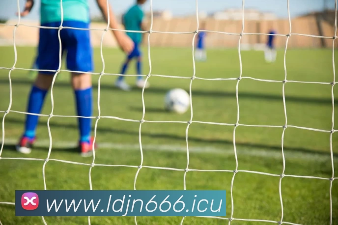 九游体育app - 九游(中国)品牌故事