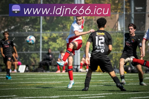 九游体育app - 九游(中国)服务体系